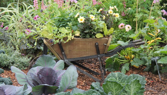 How to DIY a veggie planter from an old clothes rail