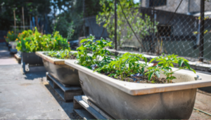How to DIY a veggie planter from an old clothes rail