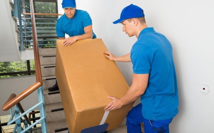 What are the different types of removal services?