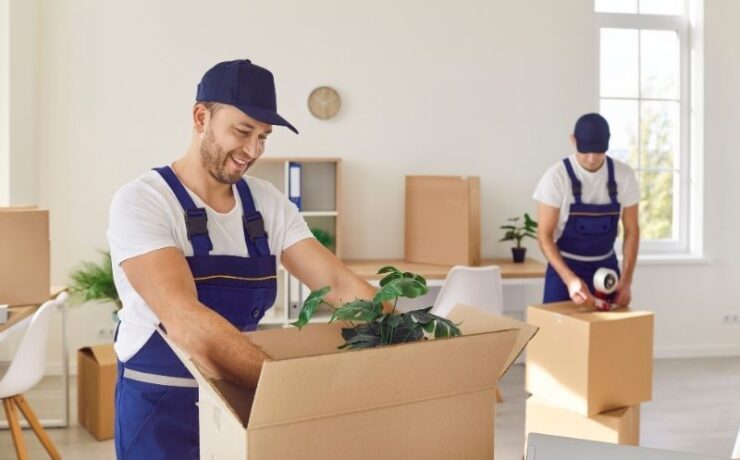 How fast do moving companies pack
