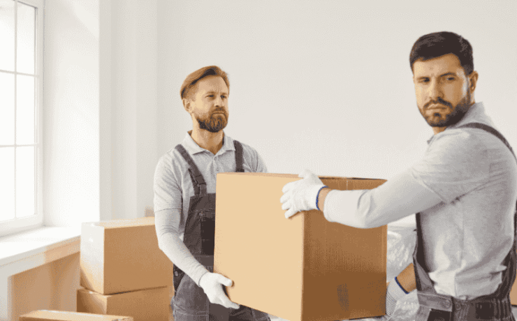 Who are the professional removalists in Buckie?